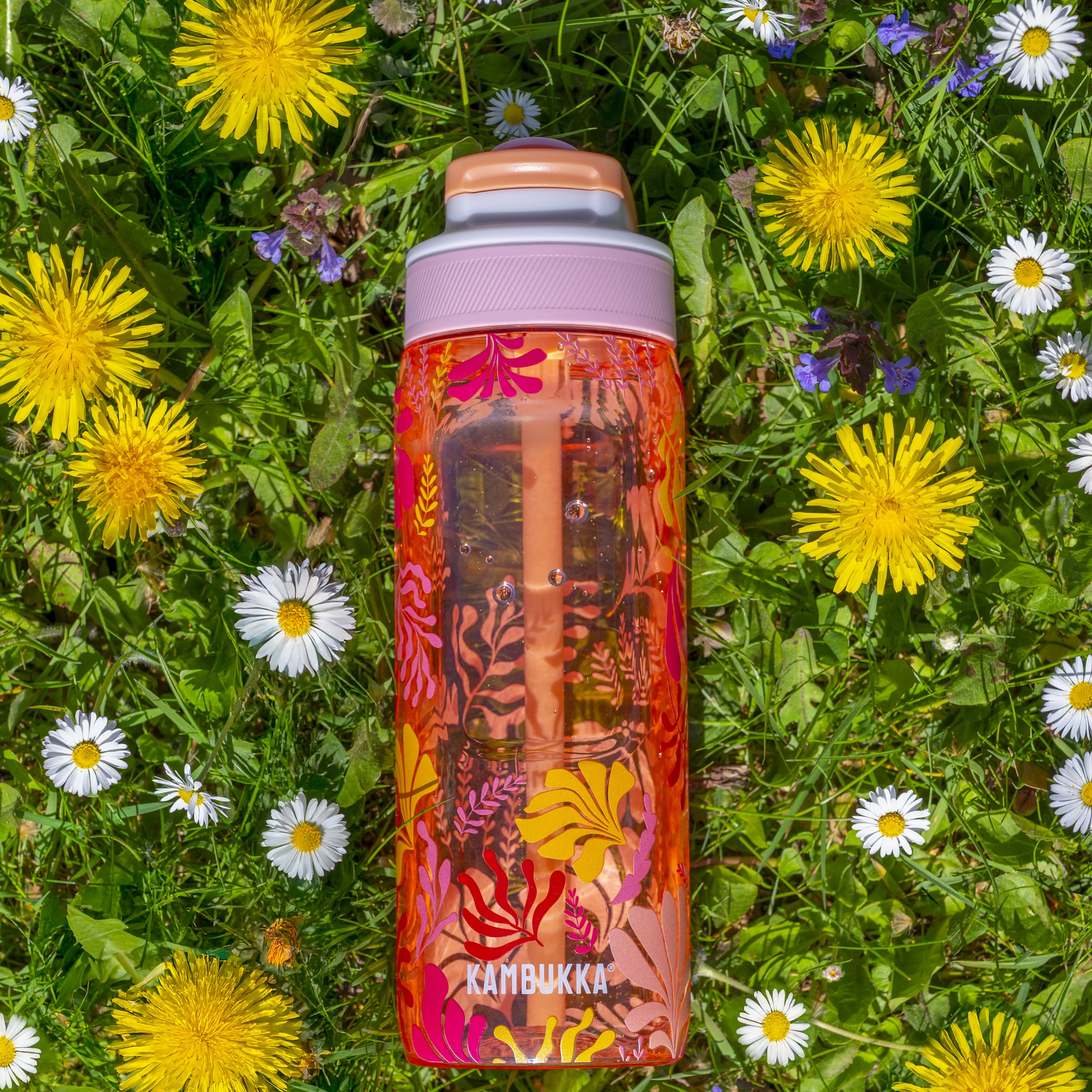 Lagoon 750 ml - Image 4