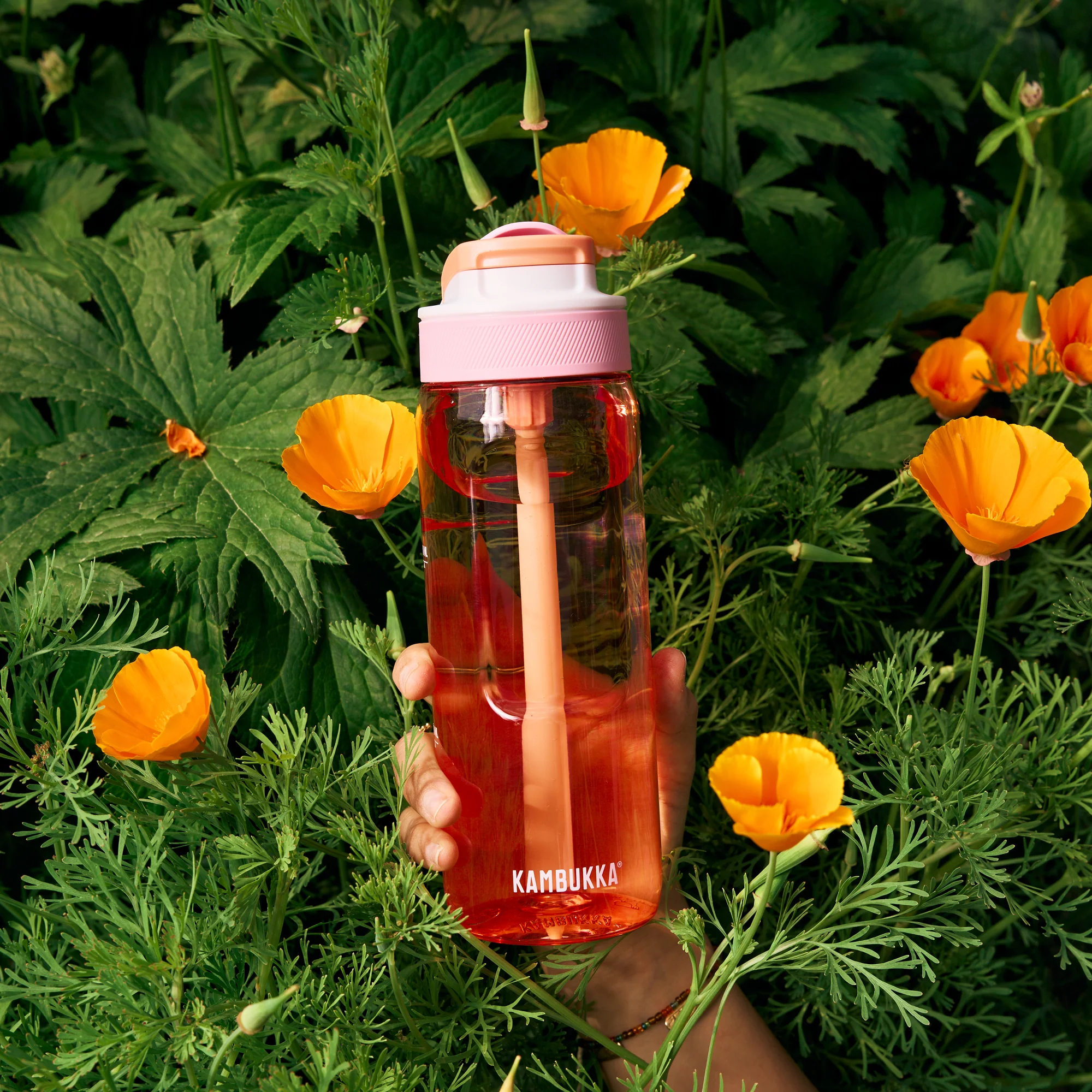 Lagoon 750 ml - Image 10